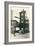 Old Printing Press-null-Framed Art Print