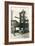 Old Printing Press-null-Framed Art Print