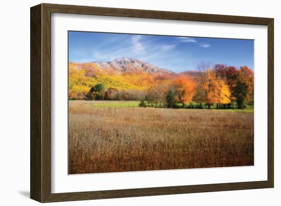 Old Rag Mountain II-Alan Hausenflock-Framed Photographic Print