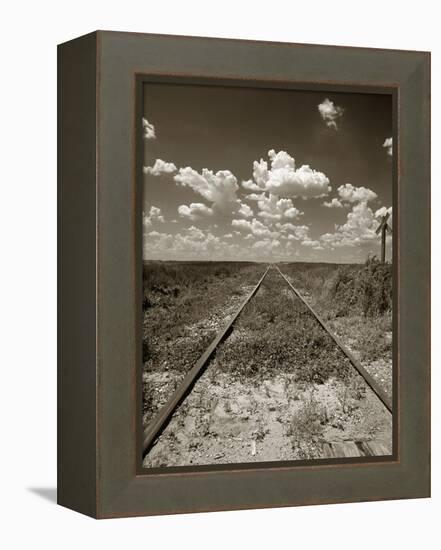 Old Railroad Tracks-Aaron Horowitz-Framed Premier Image Canvas