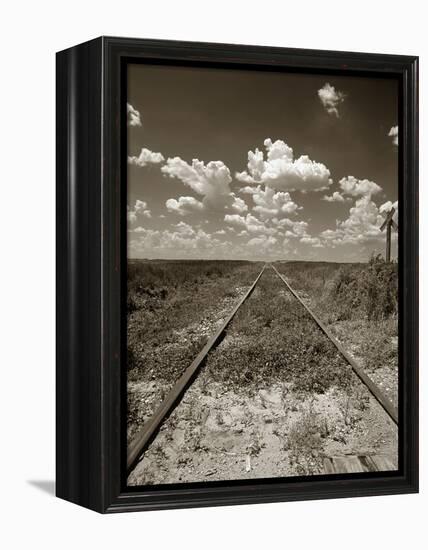 Old Railroad Tracks-Aaron Horowitz-Framed Premier Image Canvas