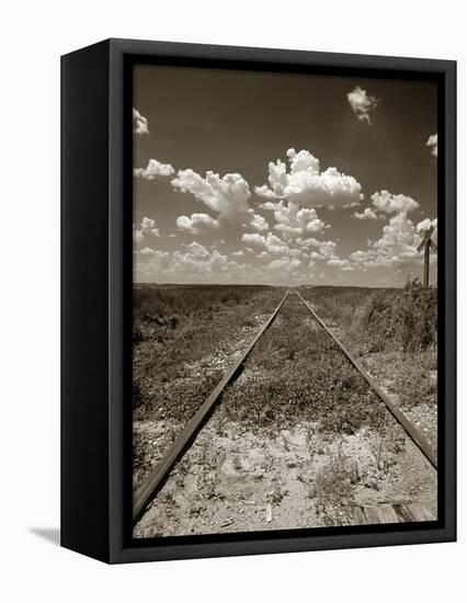 Old Railroad Tracks-Aaron Horowitz-Framed Premier Image Canvas