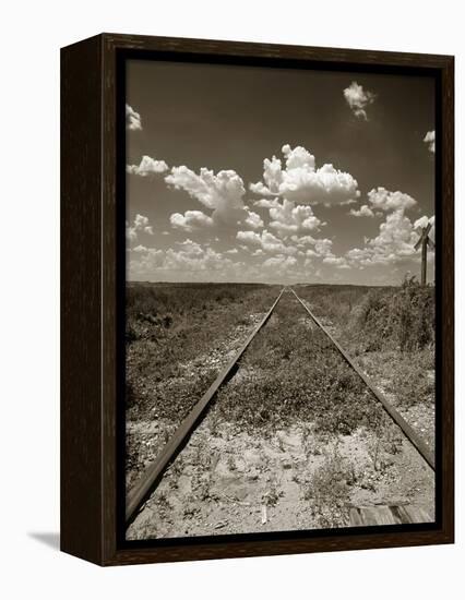 Old Railroad Tracks-Aaron Horowitz-Framed Premier Image Canvas