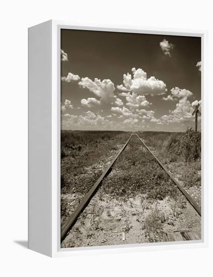 Old Railroad Tracks-Aaron Horowitz-Framed Premier Image Canvas