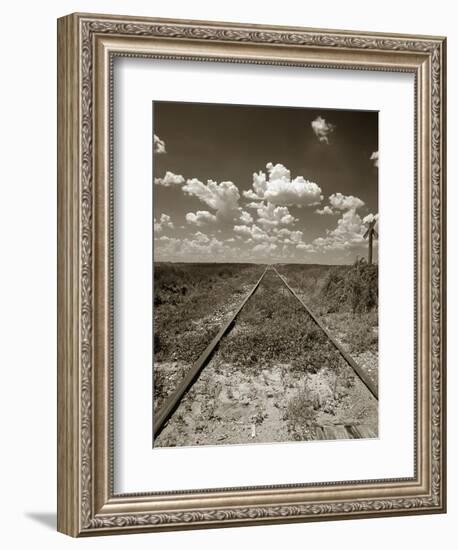 Old Railroad Tracks-Aaron Horowitz-Framed Photographic Print