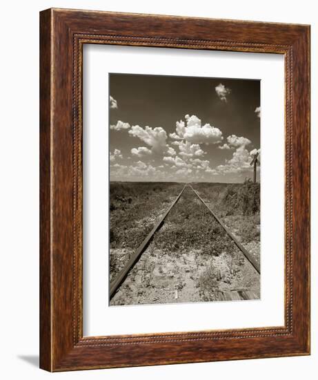 Old Railroad Tracks-Aaron Horowitz-Framed Photographic Print