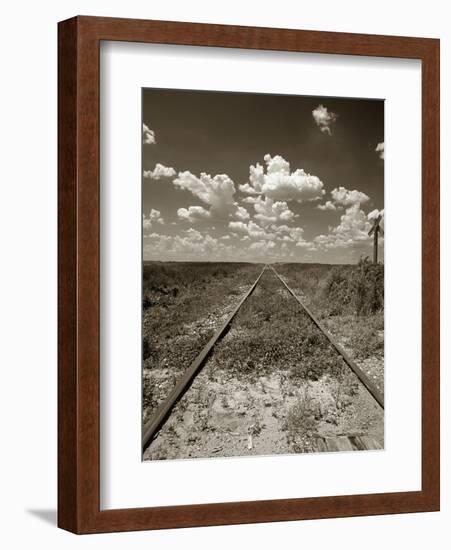 Old Railroad Tracks-Aaron Horowitz-Framed Photographic Print