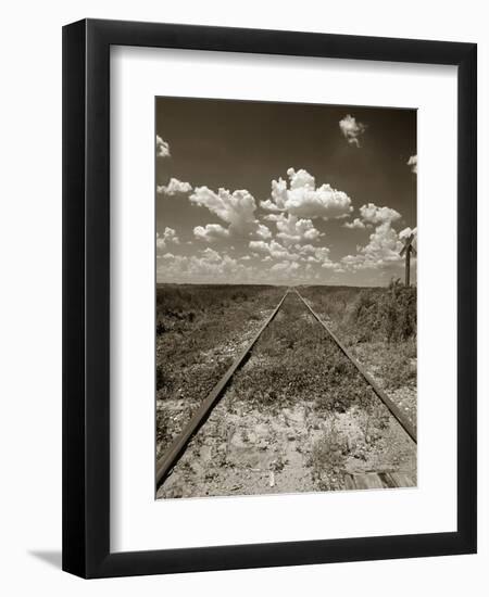 Old Railroad Tracks-Aaron Horowitz-Framed Photographic Print