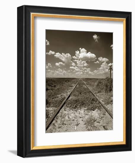 Old Railroad Tracks-Aaron Horowitz-Framed Photographic Print