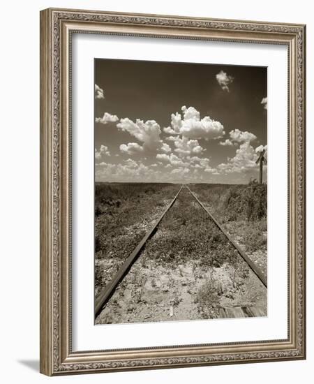 Old Railroad Tracks-Aaron Horowitz-Framed Photographic Print