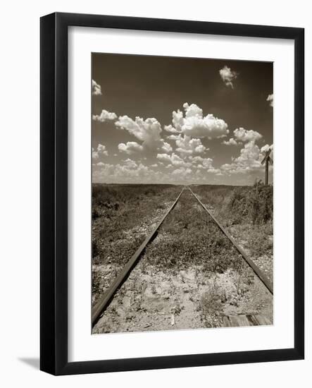 Old Railroad Tracks-Aaron Horowitz-Framed Photographic Print