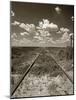 Old Railroad Tracks-Aaron Horowitz-Mounted Photographic Print