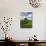 Old Red Barn and Spring Crop of Wheat, Genesee, Idaho, USA-Terry Eggers-Photographic Print displayed on a wall