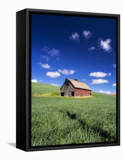 Old Red Barn in a Field of Spring Wheat-Terry Eggers-Framed Premier Image Canvas