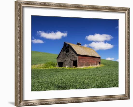 Old Red Barn in a Field of Spring Wheat-Terry Eggers-Framed Photographic Print