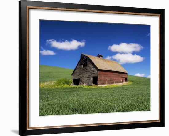 Old Red Barn in a Field of Spring Wheat-Terry Eggers-Framed Photographic Print