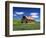 Old Red Barn in a Field of Spring Wheat-Terry Eggers-Framed Photographic Print