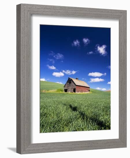 Old Red Barn in a Field of Spring Wheat-Terry Eggers-Framed Photographic Print