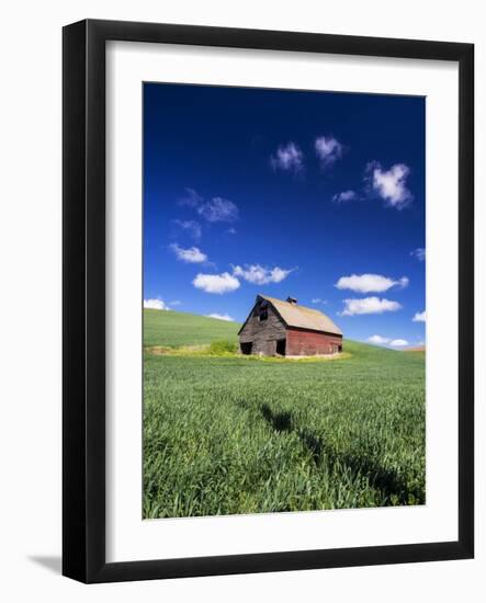 Old Red Barn in a Field of Spring Wheat-Terry Eggers-Framed Photographic Print