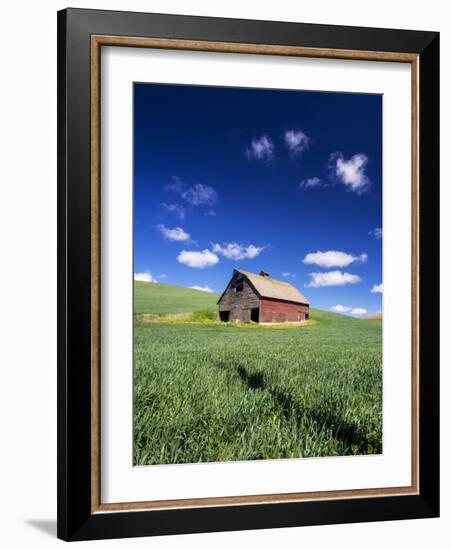 Old Red Barn in a Field of Spring Wheat-Terry Eggers-Framed Photographic Print