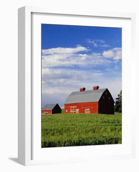 Old Red Barn in Field-Terry Eggers-Framed Photographic Print