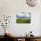 Old Red Barn in Spring Wheat Fields-Terry Eggers-Photographic Print displayed on a wall