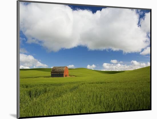 Old Red Barn in Spring Wheat Fields-Terry Eggers-Mounted Photographic Print