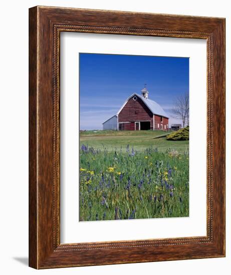 Old Red Barn with Spring Wildflowers, Grangeville, Idaho, USA-Terry Eggers-Framed Photographic Print