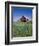 Old Red Barn with Spring Wildflowers, Grangeville, Idaho, USA-Terry Eggers-Framed Photographic Print