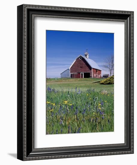 Old Red Barn with Spring Wildflowers, Grangeville, Idaho, USA-Terry Eggers-Framed Photographic Print