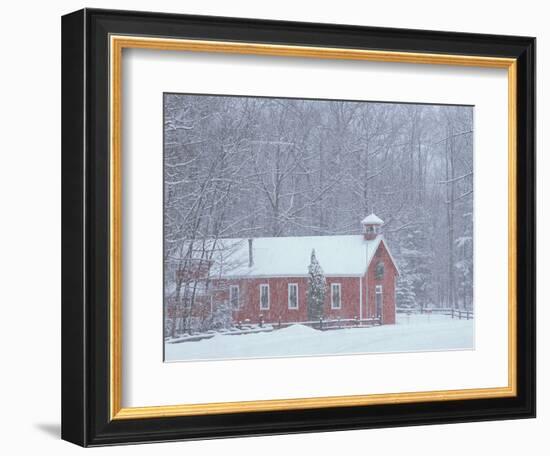 Old Red Schoolhouse and Forest in Snowfall at Christmastime, Michigan, USA-Mark Carlson-Framed Photographic Print