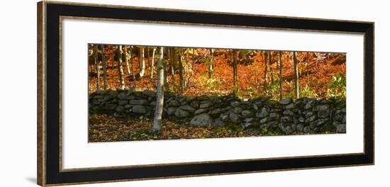 Old Rock Wall-Brenda Petrella Photography LLC-Framed Giclee Print