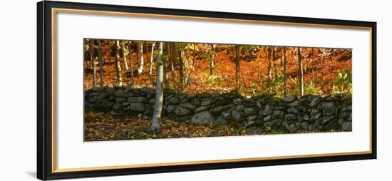 Old Rock Wall-Brenda Petrella Photography LLC-Framed Giclee Print