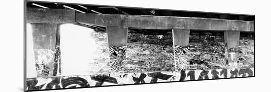 Old ruin with graffiti on wall, Chicago, Illinois, USA-Panoramic Images-Mounted Photographic Print