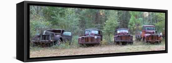 Old Rusty Cars and Trucks on Route 319, Crawfordville, Wakulla County, Florida, USA-null-Framed Stretched Canvas