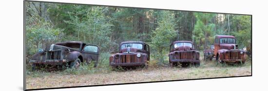 Old Rusty Cars and Trucks on Route 319, Crawfordville, Wakulla County, Florida, USA-null-Mounted Photographic Print