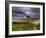 Old Rusty Lobster Boat on a Grassy Bank by the Ocean in Nova Scotia-Frances Gallogly-Framed Photographic Print