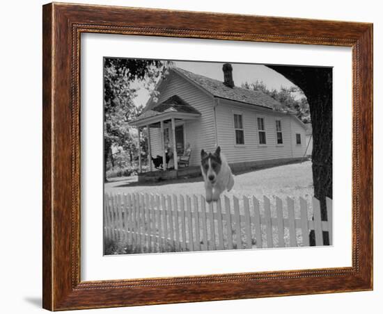 Old School House Now Inhabited by House Painter Charlie Harris-Walter Sanders-Framed Photographic Print