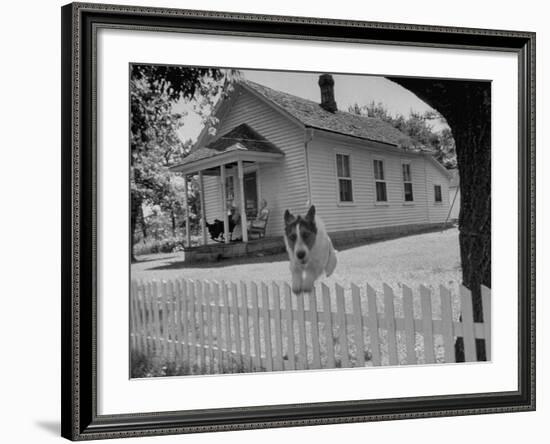 Old School House Now Inhabited by House Painter Charlie Harris-Walter Sanders-Framed Photographic Print