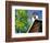 Old School House, Palisades Park, Alabama, USA-William Sutton-Framed Photographic Print