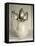 Old Silver Spoon in Light Coloured Ceramic Jug-Ellen Silverman-Framed Premier Image Canvas