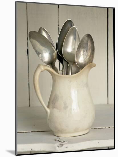 Old Silver Spoon in Light Coloured Ceramic Jug-Ellen Silverman-Mounted Photographic Print