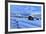 Old snow-covered huts during twilight, Erbe Pass, Funes Valley, Sudtirol (South Tyrol), Dolomites, -Francesco Bergamaschi-Framed Photographic Print