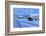 Old snow-covered huts during twilight, Erbe Pass, Funes Valley, Sudtirol (South Tyrol), Dolomites, -Francesco Bergamaschi-Framed Photographic Print