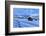 Old snow-covered huts during twilight, Erbe Pass, Funes Valley, Sudtirol (South Tyrol), Dolomites, -Francesco Bergamaschi-Framed Photographic Print