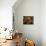 Old Spice Box and Brass Pestel and Mortar in Restored Traditional Pol House, Gujarat State, India-John Henry Claude Wilson-Photographic Print displayed on a wall