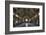 Old Sportshall-kre_geg-Framed Photographic Print