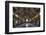 Old Sportshall-kre_geg-Framed Photographic Print