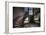 Old Stairway in Abandoned Building-Nathan Wright-Framed Photographic Print