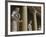 Old Statues in the Egyptian Museum, Berlin, Germany, Europe-Michael Runkel-Framed Photographic Print